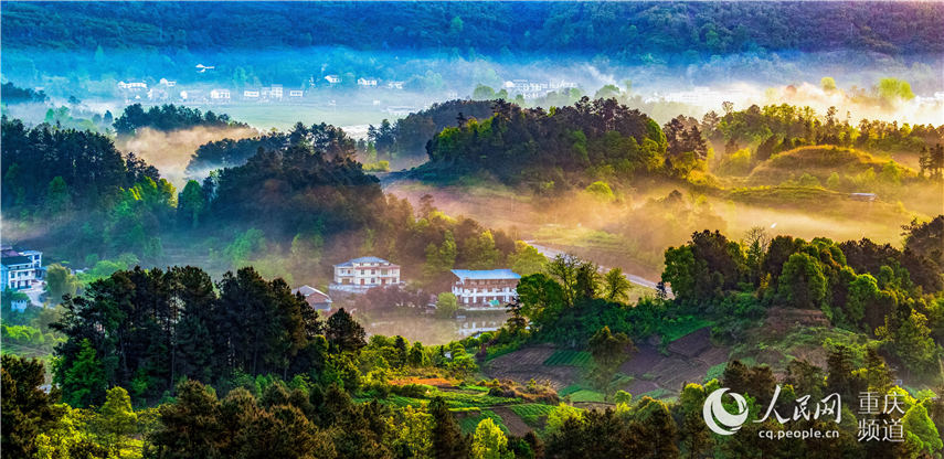 еؑcϴ^(q)^(zhn)F箋 z