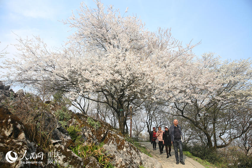 ڻgܴĚϢW(wng) z