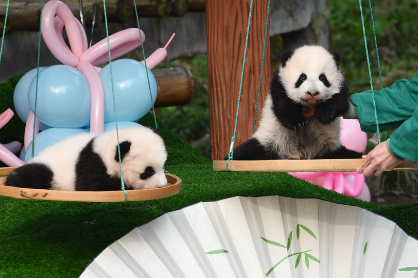 ؑc(dng)@؈䡱挚u(l)z