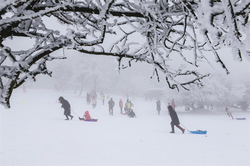 仙女山景區(qū)宛如冰雪世界。武隆景區(qū)供圖
