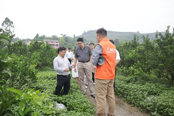 青年科學(xué)家在柑橘種植基地負(fù)責(zé)人現(xiàn)場(chǎng)交流。共青團(tuán)重慶市委供圖