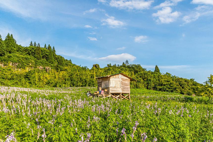 山王坪風(fēng)景美如畫。瞿明斌攝