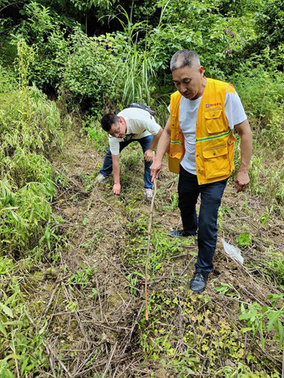 《地災(zāi)巡查一絲不茍》。6月13日，黔江區(qū)金溪規(guī)劃和自然資源所會(huì)同107地質(zhì)隊(duì)總工秦華生（右）在黔江區(qū)太極鎮(zhèn)太河村杉樹灣查看原滑坡區(qū)域滑體裂隙等發(fā)育變化情況。李偉攝