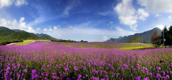 紅池壩風(fēng)景用于游戲場(chǎng)景。巫溪縣委宣傳部供圖