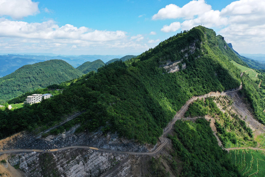 重慶市黔江區(qū)阿蓬江鎮(zhèn)柒坨村“懸崖上的種糧路”。楊敏攝
