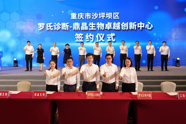 活動(dòng)現(xiàn)場(chǎng)。沙坪壩區(qū)委宣傳部供圖