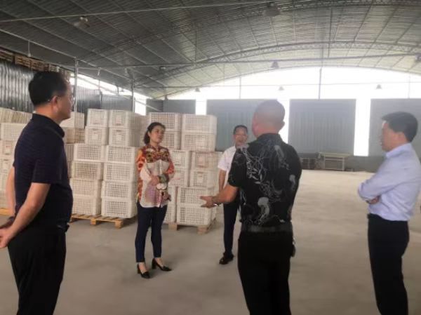 走訪民營企業(yè)。潼南區(qū)委統(tǒng)戰(zhàn)部供圖