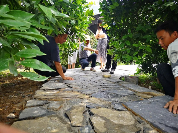 農(nóng)田景觀道路。奉節(jié)縣委宣傳部供圖