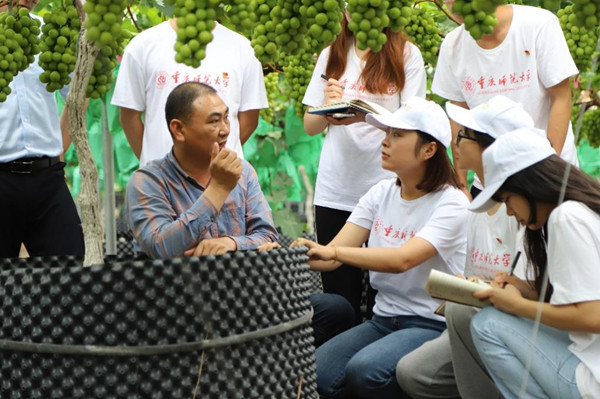 實(shí)踐團(tuán)學(xué)習(xí)葡萄種植與管理技術(shù)。重慶師范大學(xué)供圖