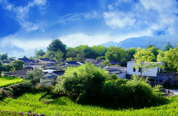 特色民宿清風(fēng)場(chǎng)住宅區(qū)。楊松攝