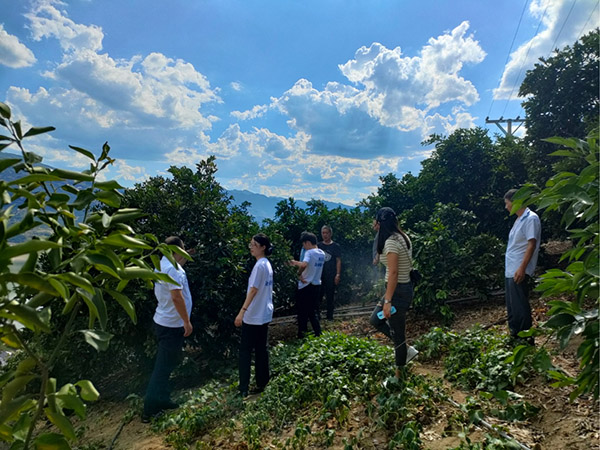 工作人員調(diào)研農(nóng)戶種植基地。建行重慶市分行供圖