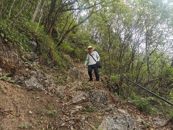 《地災(zāi)點巡查》。6月9日，川東南地質(zhì)大隊地災(zāi)駐守隊員徐騰蛟去巫山縣官陽鎮(zhèn)老鷹村2組霧溪陽坡滑坡例行巡查的山路上。況星麟攝。