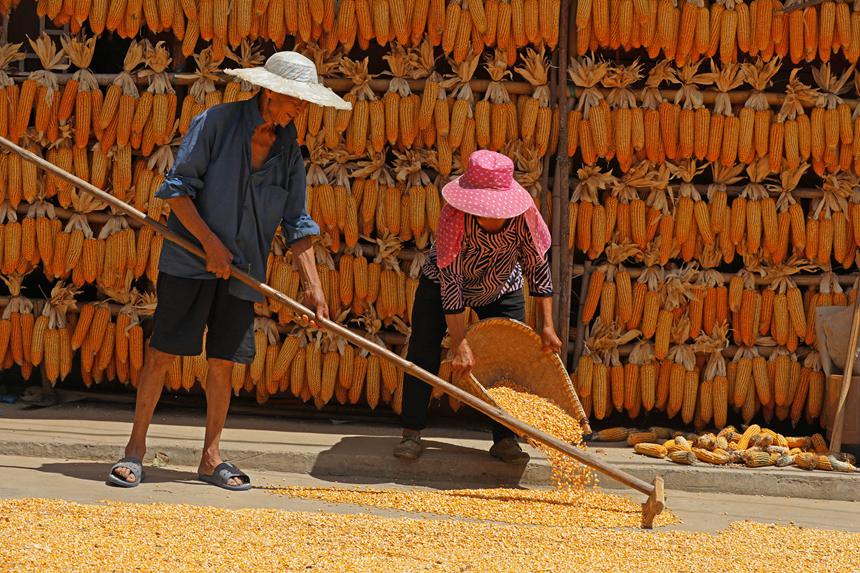 村民正在晾曬糧食。趙勇攝