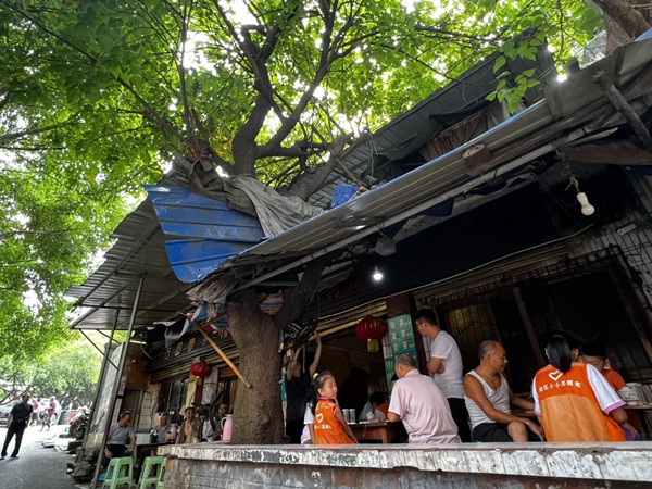 黃桷樹(shù)下老茶館。 邢家橋社區(qū)社工室供圖