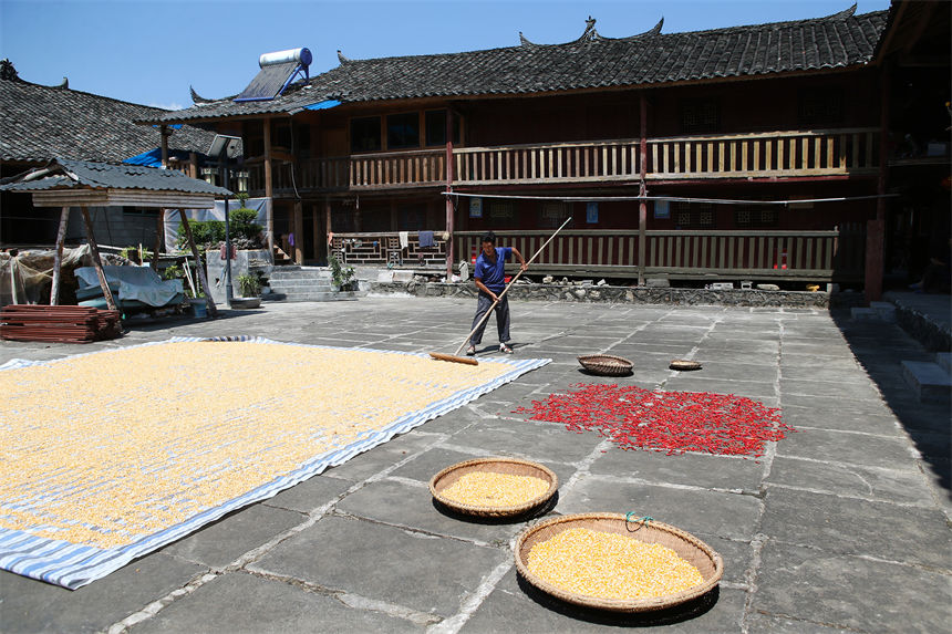 重慶市黔江區(qū)小南海鎮(zhèn)橋梁村古楓寨村民在晾曬玉米、辣椒、花生等農(nóng)作物。楊敏攝