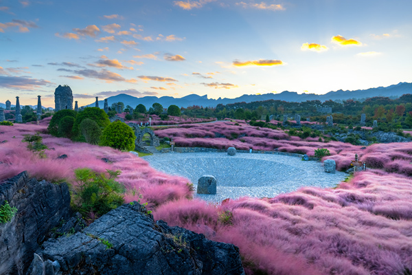 疊石花谷粉黛花開。酉陽旅投供圖