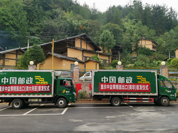 滿載中益黃精面的車輛即將發(fā)車。李波攝