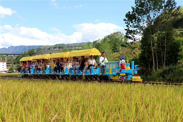 游客乘坐小火車。楊花攝