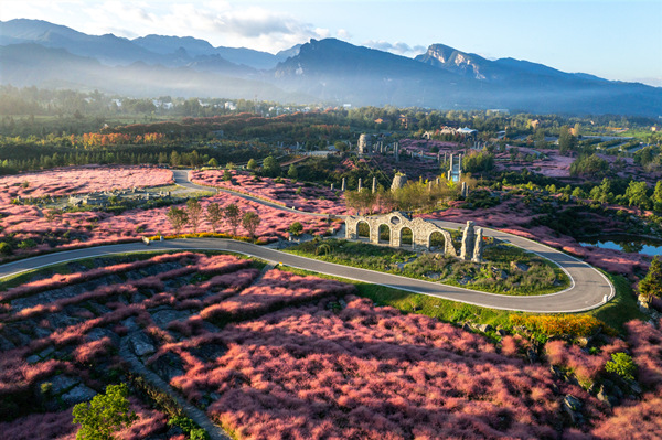 疊石花谷景區(qū)。酉陽旅投供圖