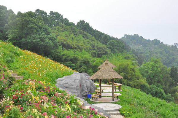 鄉(xiāng)村環(huán)境變美。雙河口鎮(zhèn)供圖