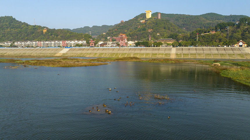 鳥兒與江水城市構(gòu)成了一幅和諧美麗的生態(tài)畫卷。劉先華攝