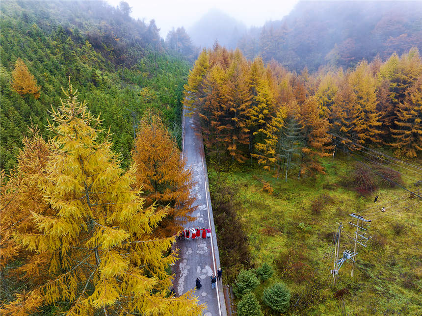 巫山梨子坪秋景。陳光國攝