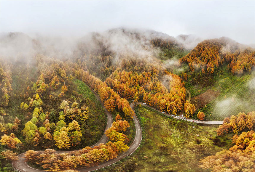 巫山梨子坪秋景。陳光國(guó)攝