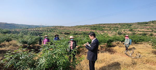 工作人員調(diào)研花椒種植基地。建行重慶市分行供圖