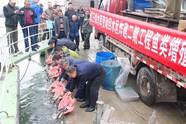涪陵區(qū)舉行魚類增殖放流活動 受訪單位供圖