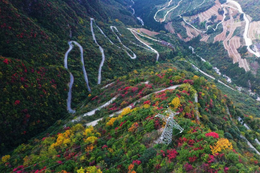 絕壁“天路”兩旁層林盡染，風(fēng)景如畫。王忠虎攝