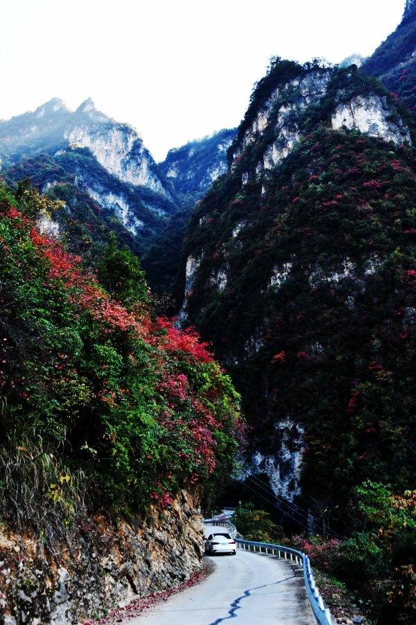 重慶市巫山縣竹賢鄉(xiāng)下莊村初冬景色。王忠虎攝