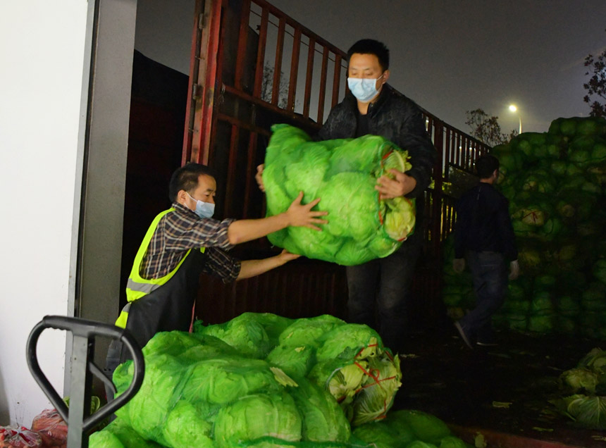 工作人員正在卸裝夜晚運抵的新鮮蔬菜，全力保障市民的“菜籃子”。郭旭攝