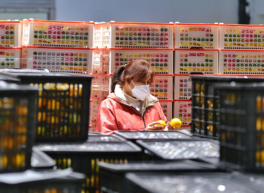 深夜，一生鮮超市內(nèi)，工作人員正在抓緊清點(diǎn)剛到的蔬菜水果。郭旭攝