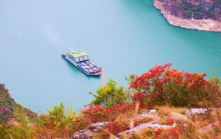 船只航行在紅葉映襯下的長(zhǎng)江巫峽水域。盧先慶攝