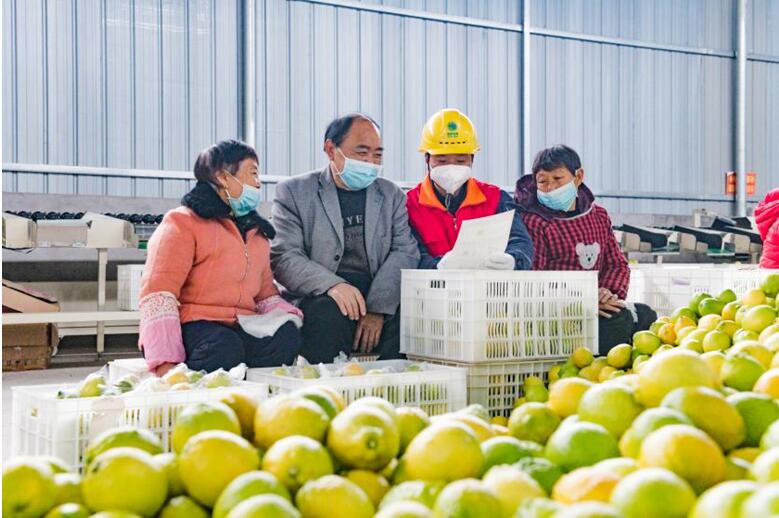 供電員工為村民普及安全用電知識。國網(wǎng)合川供電公司供圖