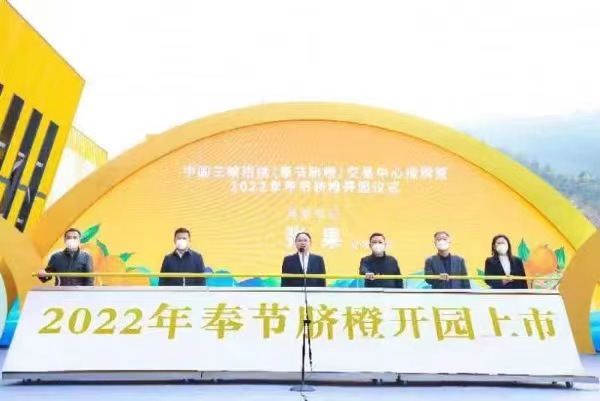 2022年奉節(jié)臍橙開園上市。奉節(jié)縣委宣傳部供圖