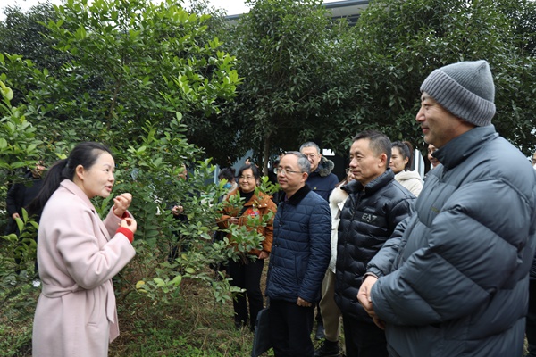 區(qū)人大代表、區(qū)政協(xié)委員基地調(diào)研。蓮花街道供圖