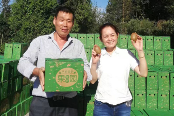 獼猴桃熟了。重慶市第十三人民醫(yī)院供圖