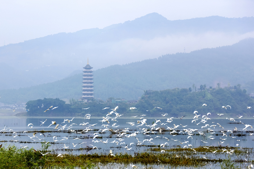 重慶開(kāi)州漢豐湖國(guó)家濕地公園。