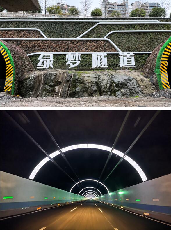 綠夢隧道。徐粘琴攝
