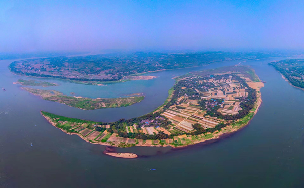 位于重慶江津的長江入渝第一島——中壩島持續(xù)開展生態(tài)系統(tǒng)修復，保護長江水環(huán)境。江津區(qū)委宣傳部供圖