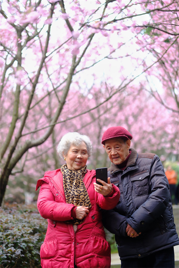 2月24日，南山植物園櫻花競相綻放，吸引不少游客前來賞花游玩。郭旭攝