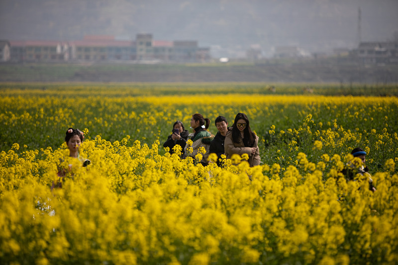 在重慶市秀山縣龍鳳花海景區(qū)，市民游客們正在油菜花田里拍照游玩。胡程攝 (5)