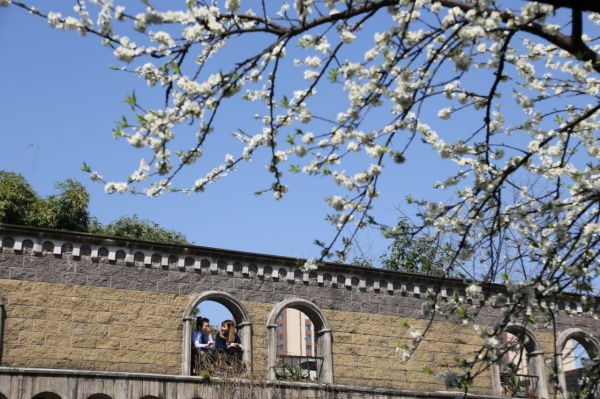 市民在工廠內(nèi)打卡游玩。美心集團(tuán)供圖