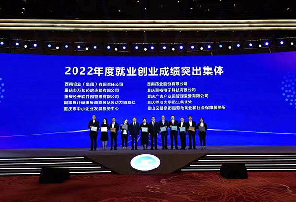 重慶軟件園榮獲“2022 年度就業(yè)創(chuàng)業(yè)成績(jī)突出集體”。重慶軟件園供圖