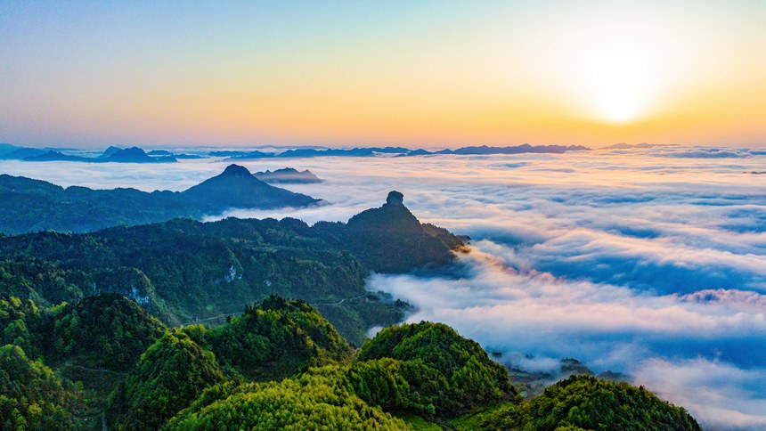 金佛山景區(qū)云霧漫山春色美。瞿明斌攝