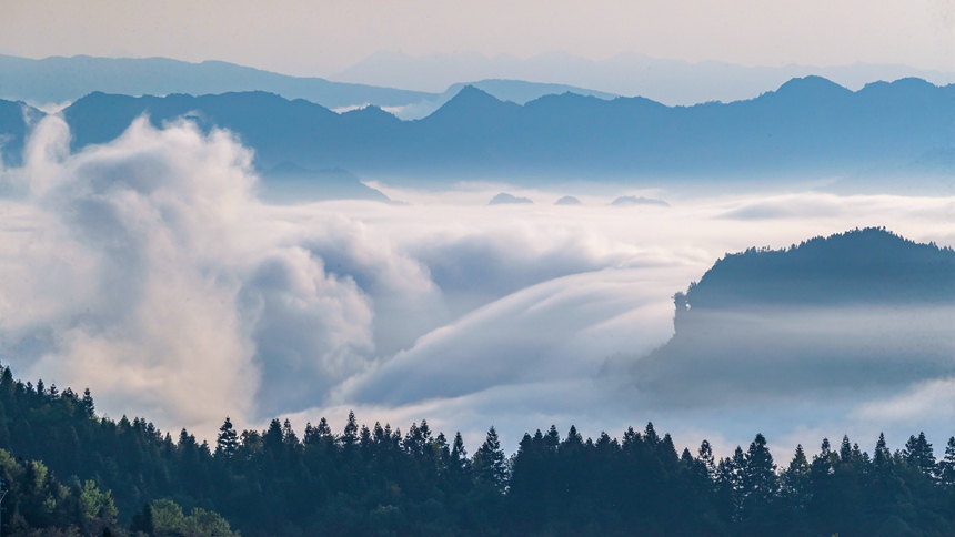 金佛山景區(qū)云霧漫山春色美。瞿明斌攝