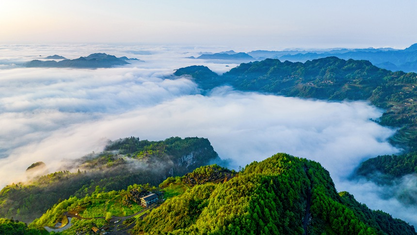 金佛山景區(qū)云霧漫山春色美。瞿明斌攝