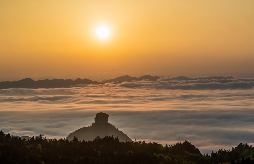 金佛山景區(qū)云霧漫山春色美。瞿明斌攝