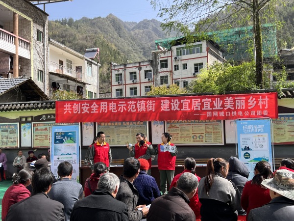 團(tuán)委在治平鄉(xiāng)惠民社區(qū)開展志愿服務(wù)活動(dòng)。國(guó)網(wǎng)城口供電公司供圖
